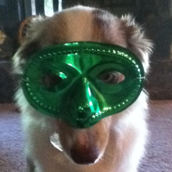 Meet your Posher, Lee - Picture 1 of 1